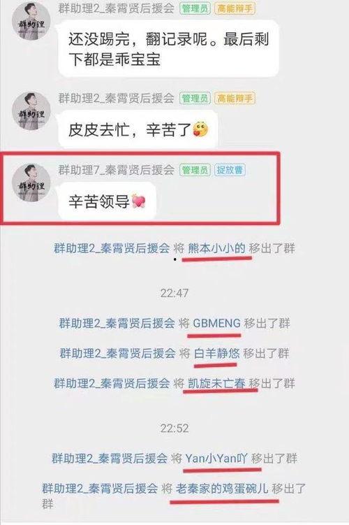 网红偶像路线图,揭秘网红偶像成长路线图